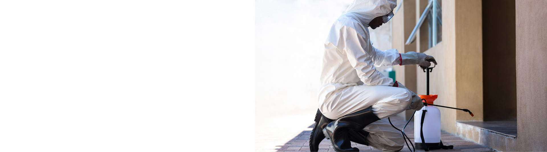 Clean Ride - Hygiene, Pest Control and General Cleaning Services